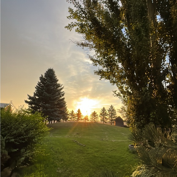 aspen277